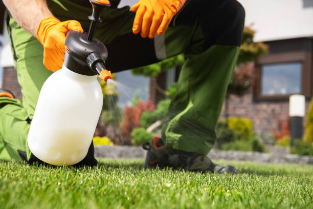 Best Pest Removal Services  in Joshua Tree, CA