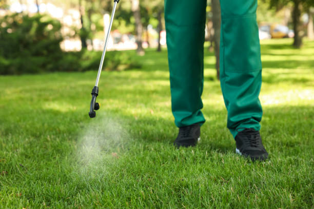 Best Termite Control Services  in Joshua Tree, CA