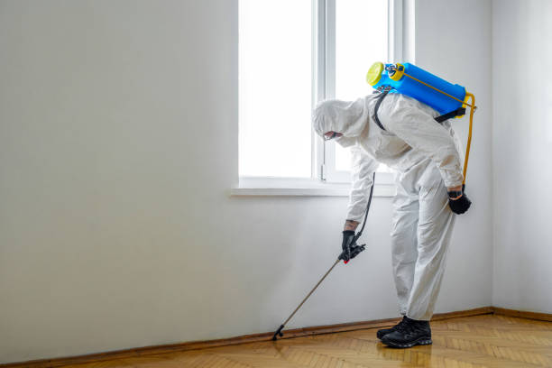 Best Pest Control Treatment  in Joshua Tree, CA