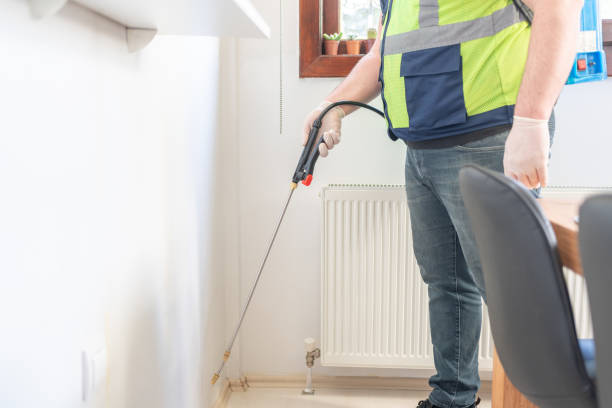 Best Affordable Pest Control Services  in Joshua Tree, CA