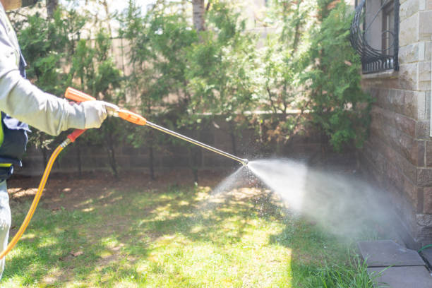 Best Flea Control Services  in Joshua Tree, CA