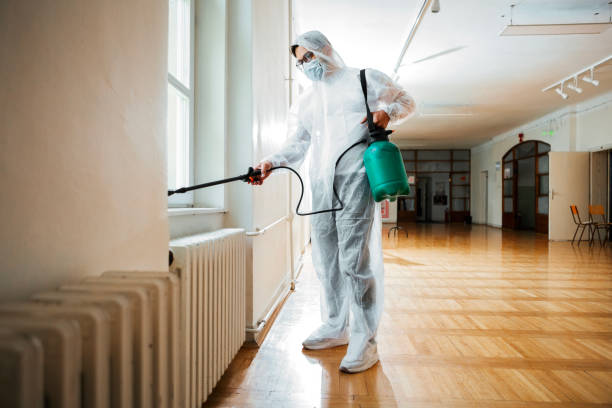Best Termite Control Services  in Joshua Tree, CA
